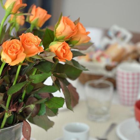 Le Stanze Di Rebecca Bed & Breakfast Roma Dış mekan fotoğraf